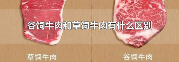 谷饲牛肉和草饲牛肉有什么区别