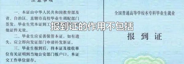 报到证的作用不包括