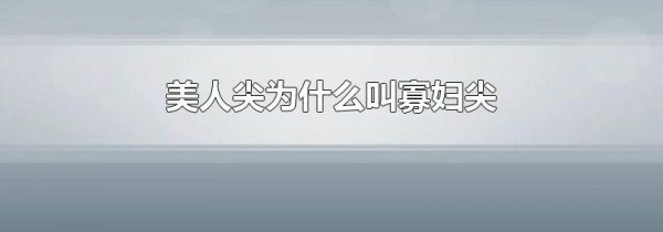 美人尖为什么叫寡妇尖