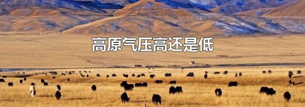 高原气压高还是低