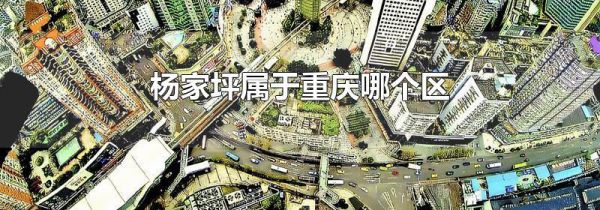 杨家坪属于重庆哪个区