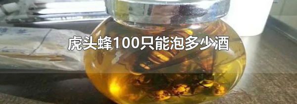 虎头蜂100只能泡多少酒