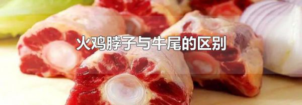 火鸡脖子与牛尾的区别