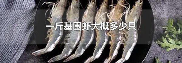 一斤基围虾大概多少只