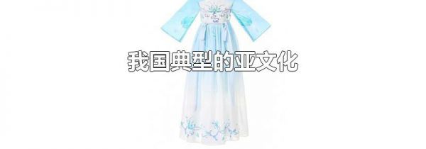 我国典型的亚文化