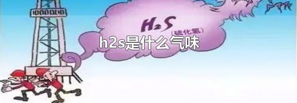 h2s是什么气味