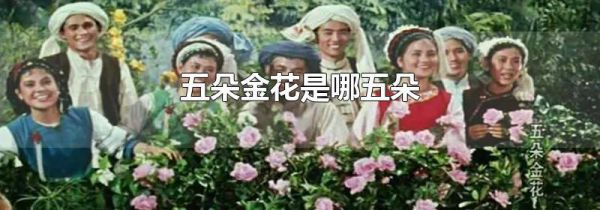 五朵金花是哪五朵