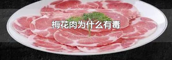 梅花肉为什么有毒