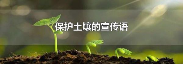 保护土壤的宣传语