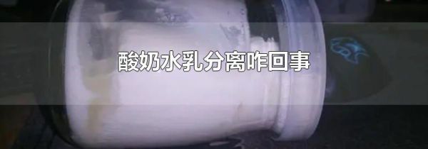 酸奶水乳分离咋回事