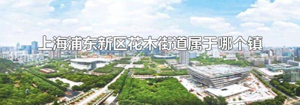 上海浦东新区花木街道属于哪个镇