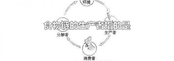 食物链的生产者指的是