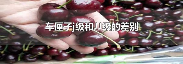 车厘子j级和JJ级的差别