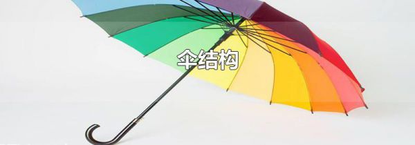 伞结构