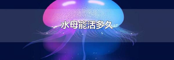 水母能活多久