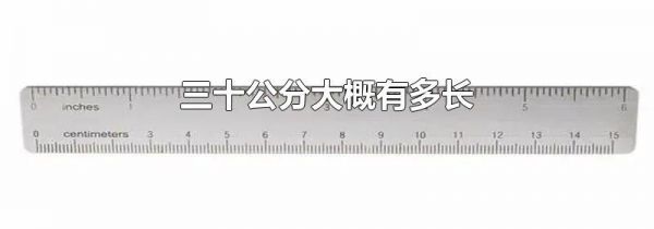 三十公分大概有多长