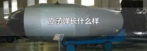 原子弹长什么样