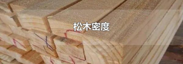 松木密度