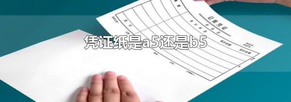 凭证纸是a5还是b5