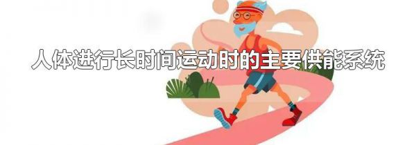 人体进行长时间运动时的主要供能系统