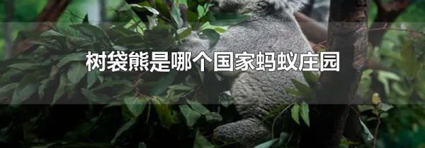 树袋熊是哪个国家蚂蚁庄园