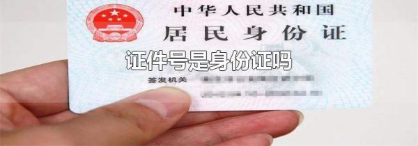 证件号是身份证吗