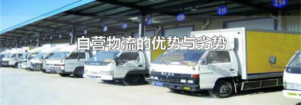 自营物流的优势与劣势