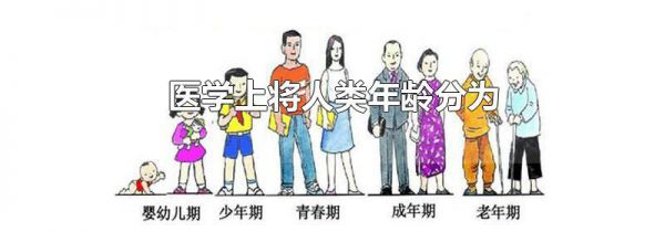 医学上将人类年龄分为