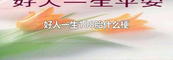 好人一生108胎什么梗