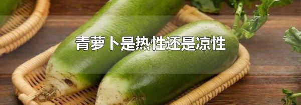 青萝卜是热性还是凉性