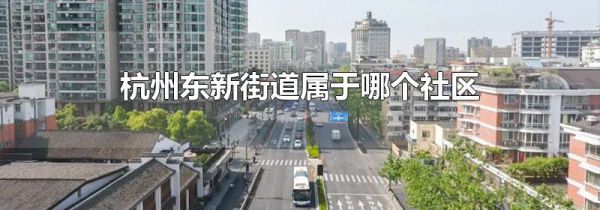 杭州东新街道属于哪个社区