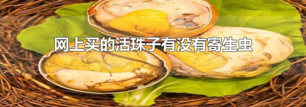 网上买的活珠子有没有寄生虫