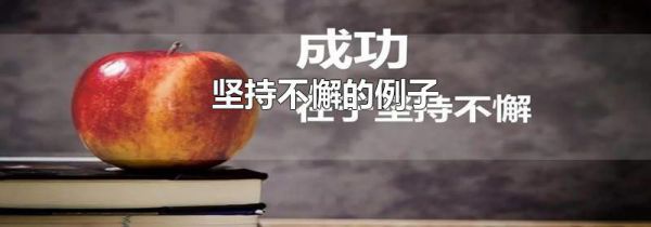 坚持不懈的例子