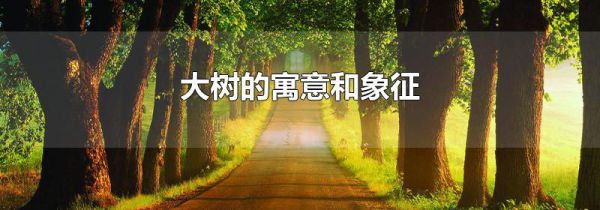 大树的寓意和象征