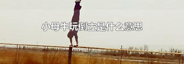小母牛玩倒立是什么意思