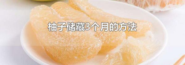 柚子储藏3个月的方法