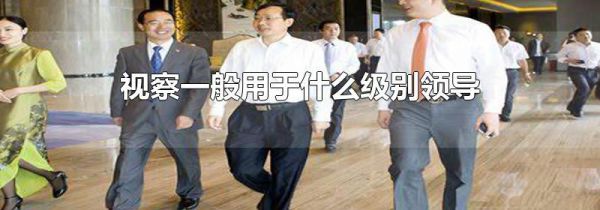 视察一般用于什么级别领导