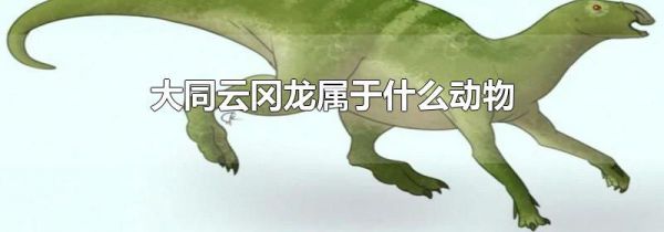 大同云冈龙属于什么动物