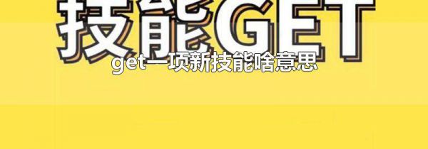 get一项新技能啥意思