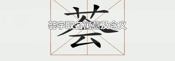 荟字取名寓意及含义