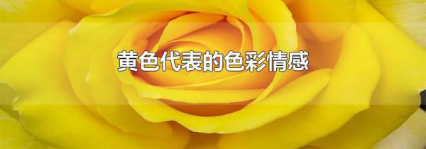 黄色代表的色彩情感