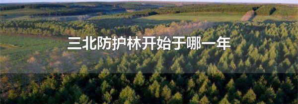 三北防护林开始于哪一年