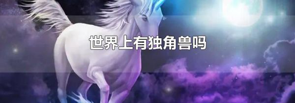 世界上有独角兽吗