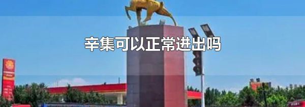 辛集可以正常进出吗