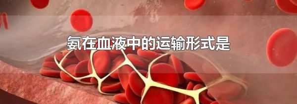 氨在血液中的运输形式是