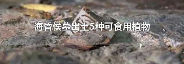 海昏侯墓出土5种可食用植物