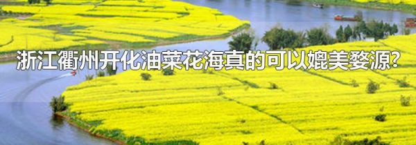 浙江衢州开化油菜花海真的可以媲美婺源?