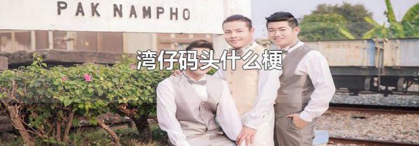 湾仔码头什么梗