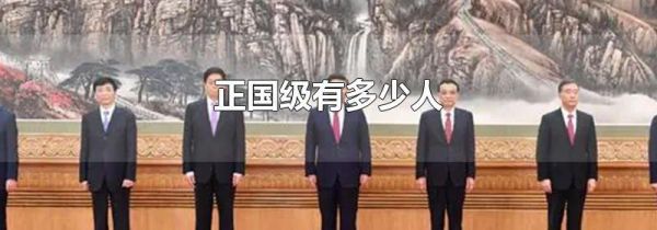 正国级有多少人
