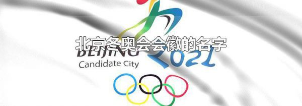 北京冬奥会会徽的名字